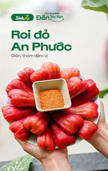 Roi đỏ An Phước VIP 2