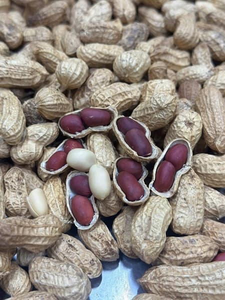 Lạc Nương Điện Biên Rang Giòn 500g 4