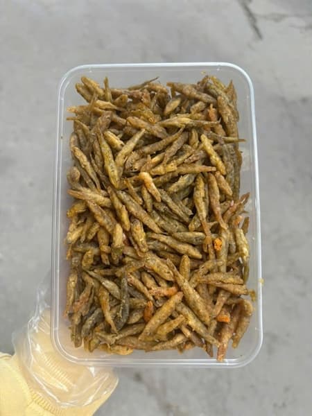 Bống chiên sông Đà 2