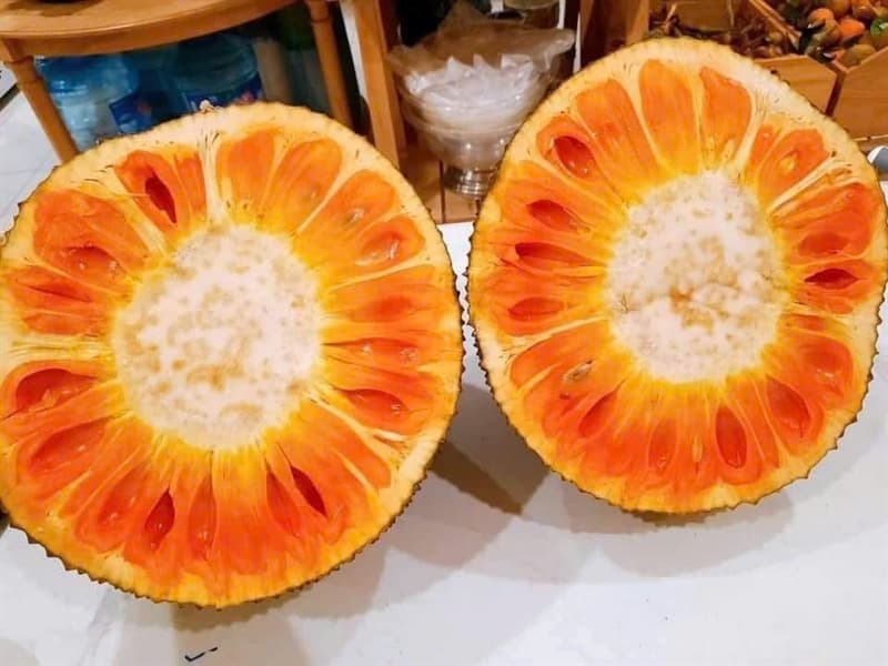 Mít đỏ indo bổ miếng