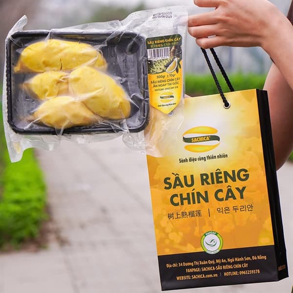 Sầu riêng chín cây SACHICA 500g