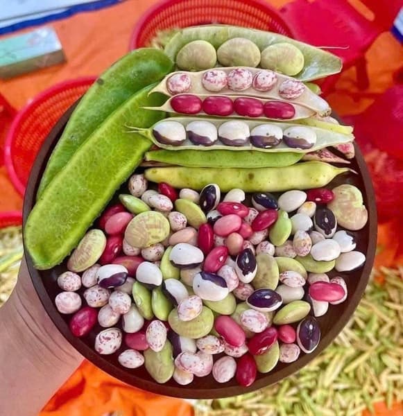 Đậu mix Huế 2