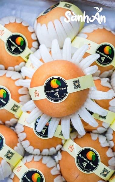 Lê Nâu Hàn Quốc 2