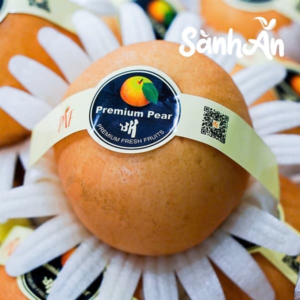 Lê Nâu Hàn Quốc