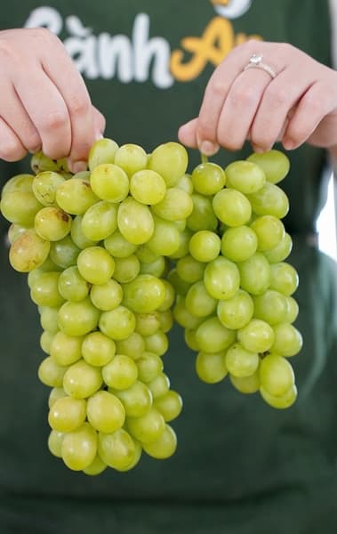 Nho xanh Vietgap Ninh Thuận