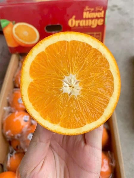 Cam kính Đài Loan 5