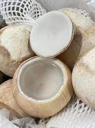 Dừa Xiêm Trọc 4