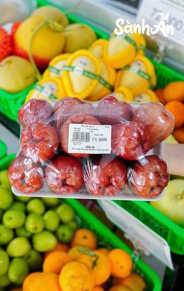 Roi đỏ An Phước