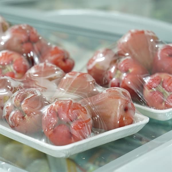 Roi đỏ An Phước 2