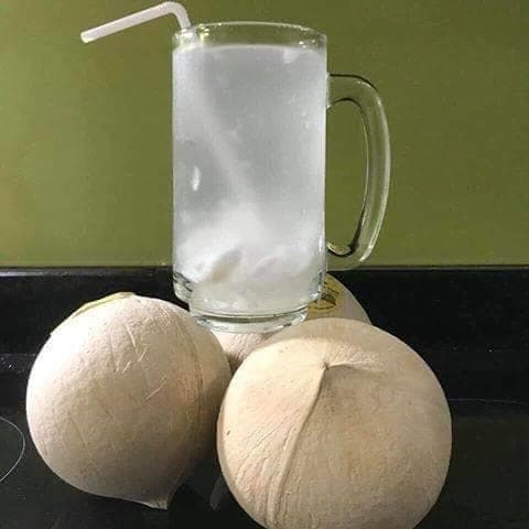 Dừa Xiêm Trọc 5