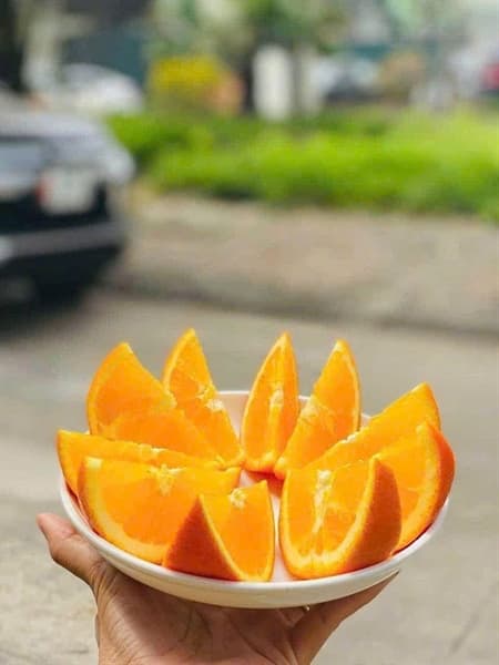 Cam kính Đài Loan 4