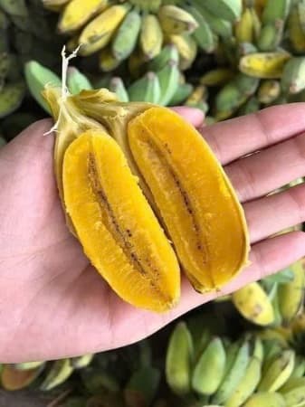 Chuối sáp Nghệ Bình Thuận 2