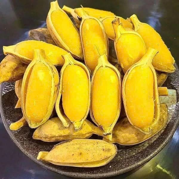 Chuối sáp Nghệ Bình Thuận