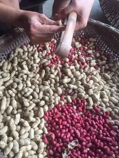 Lạc đỏ đồi Tây Bắc 500g 4