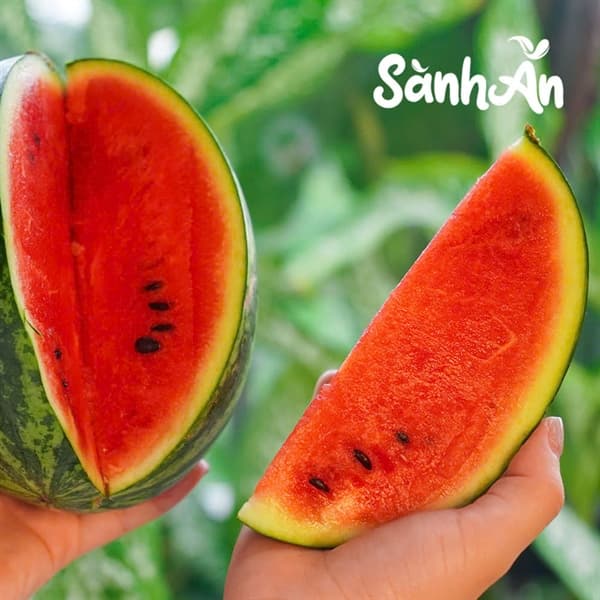 Dưa hấu Táo Mini 3