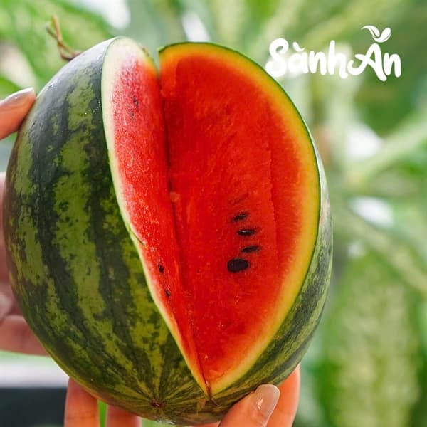 Dưa hấu Táo Mini 4