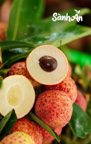 Vải thiều Lục Ngạn Bắc Giang