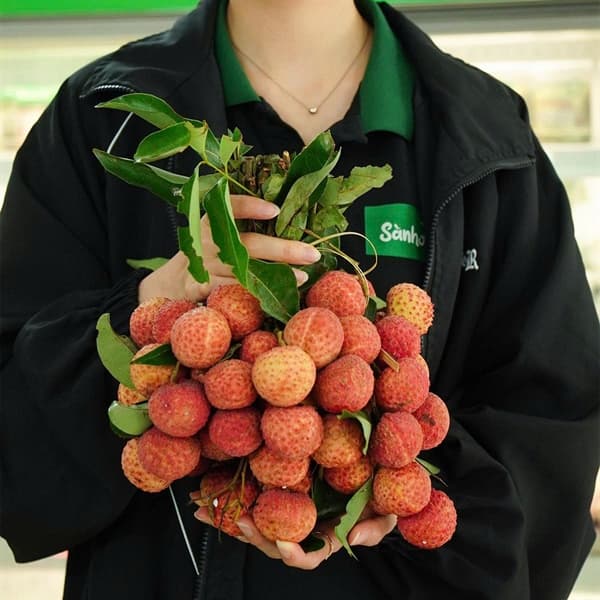 Vải thiều Lục Ngạn Bắc Giang 2