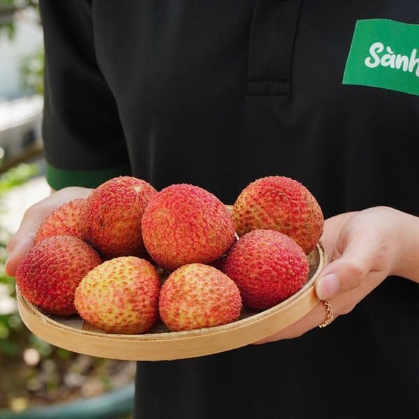 Vải Trứng Phù Cừ Hưng Yên 3