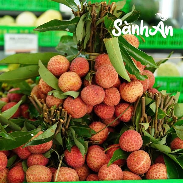 Vải thiều Lục Ngạn Bắc Giang 3