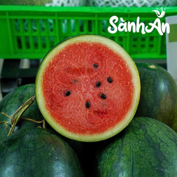 Dưa hấu Sài Gòn