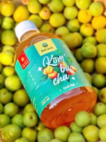 Nước uống Kombucha 500ml 4