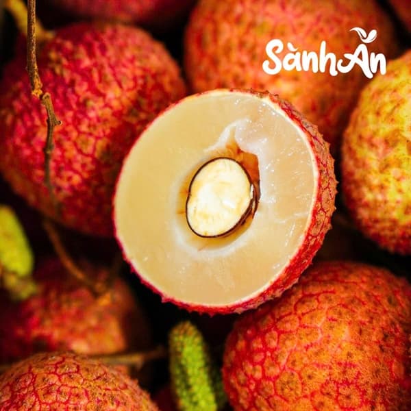 Vải Trứng Phù Cừ Hưng Yên 4