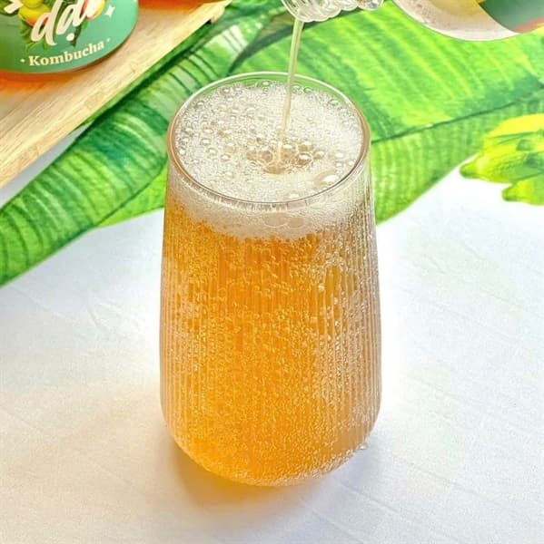 Nước uống Kombucha 500ml 3