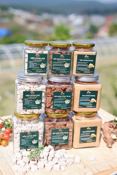 Viên gừng gió Chạm Vị
