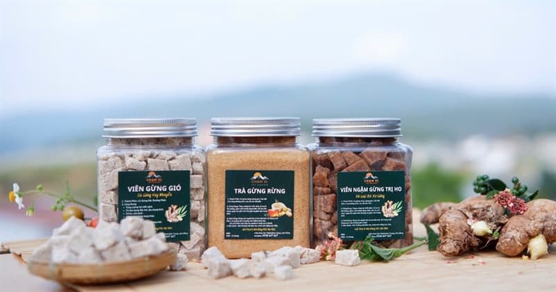 Viên gừng gió Chạm Vị 2