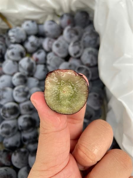 Nho đen Fresh 3