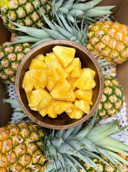 Dứa mật Pulau Điện Biên 4