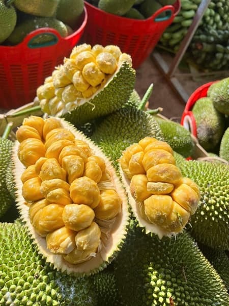 Mít tố nữ Đồng Nai 4