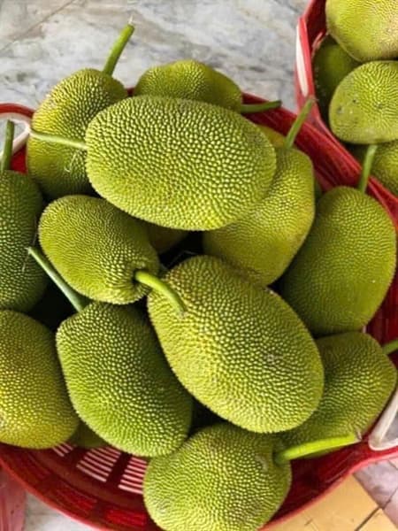 Mít tố nữ Đồng Nai 2