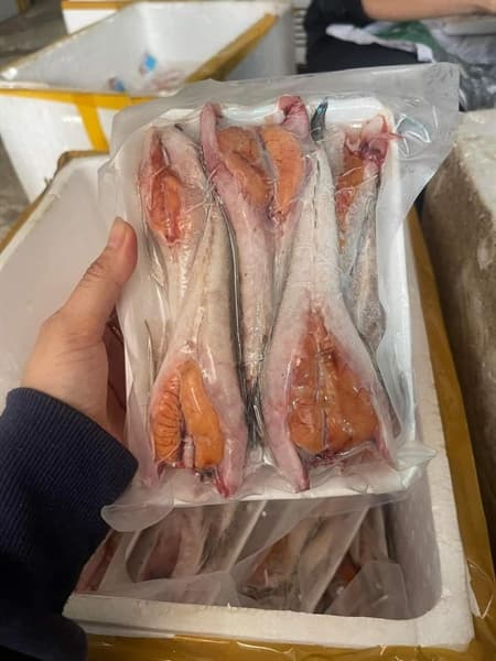 Cá chai Trứng Vân Đồn 500g 2