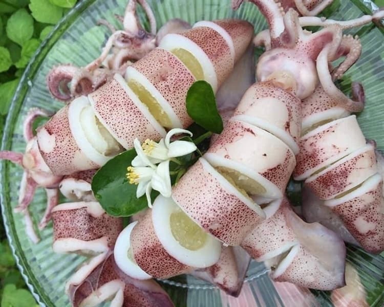 Mực trứng nháy Cửa Lò 2