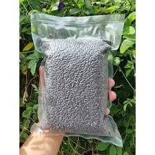Gạo lứt đen Điện Biên 3