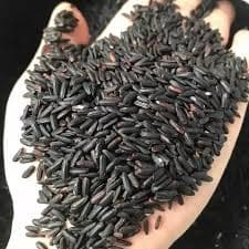 Gạo lứt đen Điện Biên 2