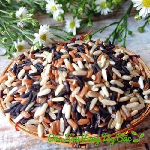 Gạo lứt tam sắc Điện Biên