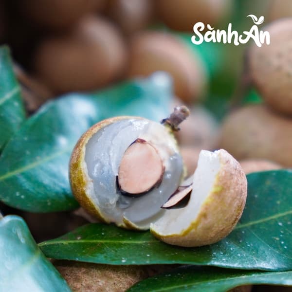 Combo 3kg nhãn sông Mã 2