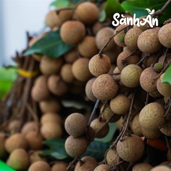 Combo 3kg nhãn sông Mã 3