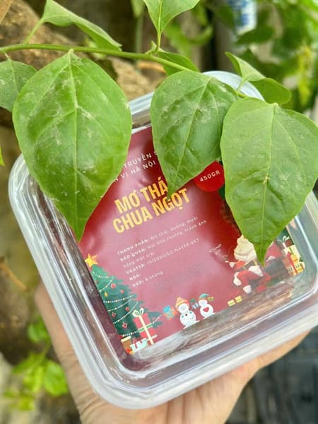 Ô mai mơ thái chua ngọt 450g 2