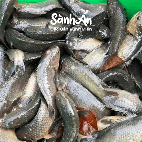 Cá rô rút xương 300g 4