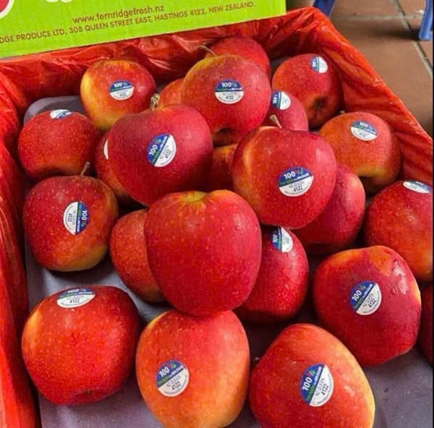 Táo Queen NZL S120 3