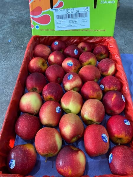 Táo Queen NZL S120 2