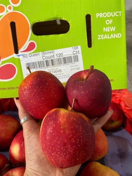 Táo Queen NZL S120 4