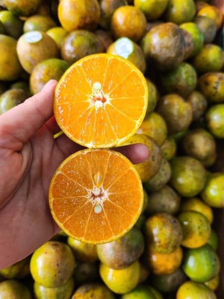 Quýt đường SG 2