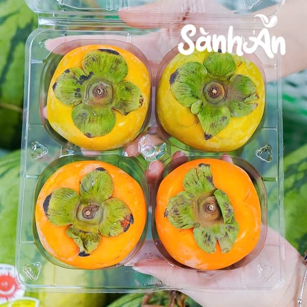 Hồng mật Vân Sơn VIP