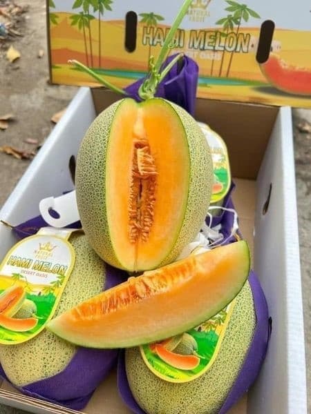 Dưa lưới Hami melon 3