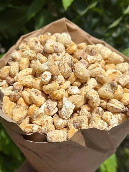 Bỏng ngô Gừng 4